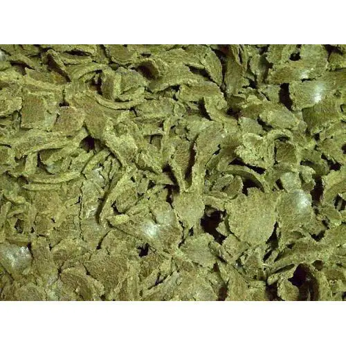 
Cotton Seed Oil Cake 