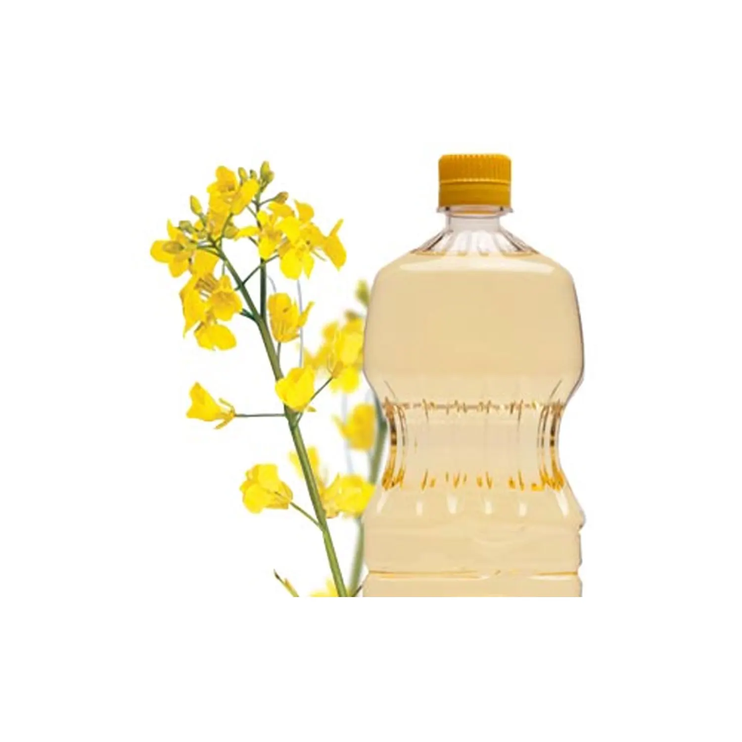 Масло Шанхая поставщика Эпоксидированное соевое масло Cas8013-07-8