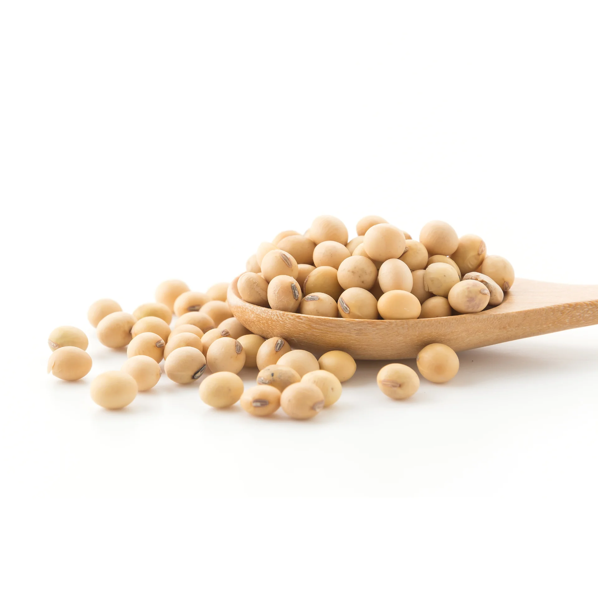 Соевая фасоль-высокий уровень белка высокое качество