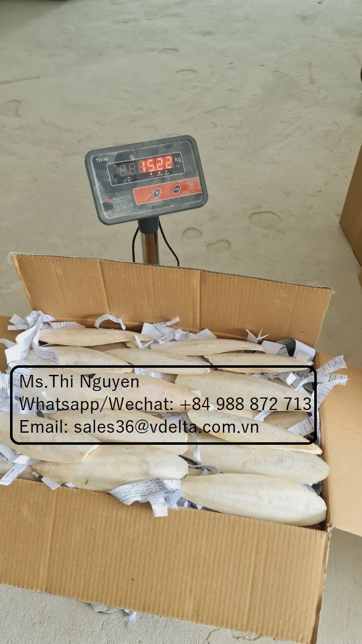 Лучшая еда для костей из Вьетнама птиц и животных сушеные шлёлли/Ms.Thi Нгуен + 84 988 872 713