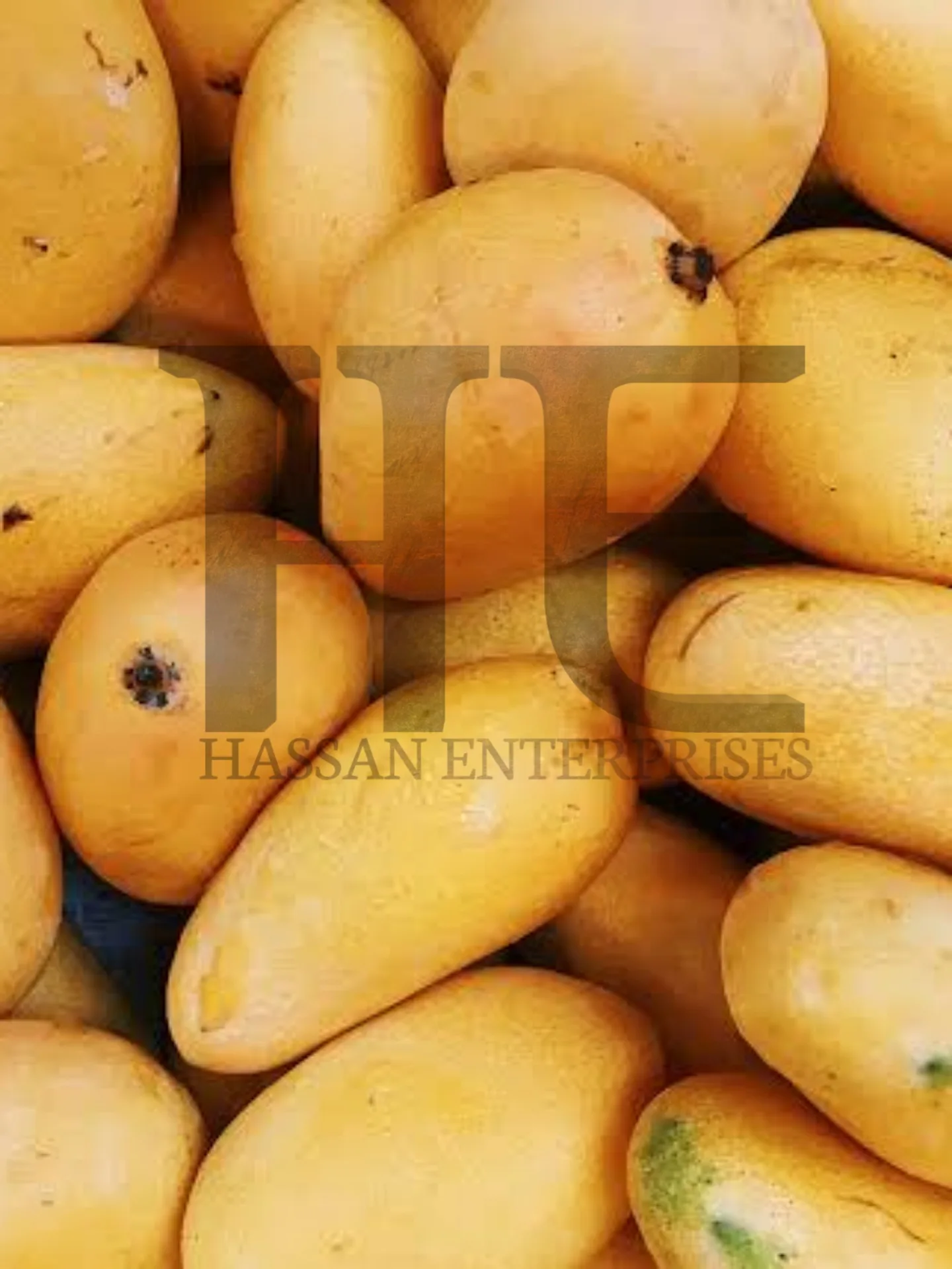 High Quality mango produced in Pakistan  Export Quality