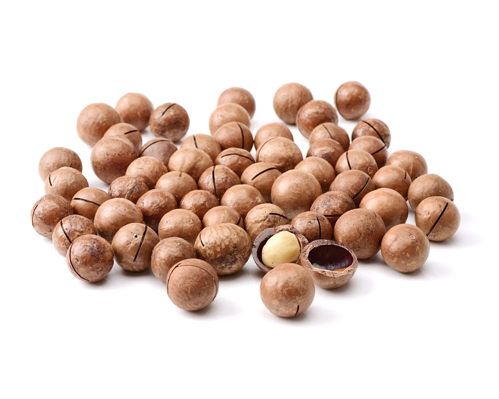 Высококачественные орехи макадамии в скорлупе по оптовым ценам HACCP ISO