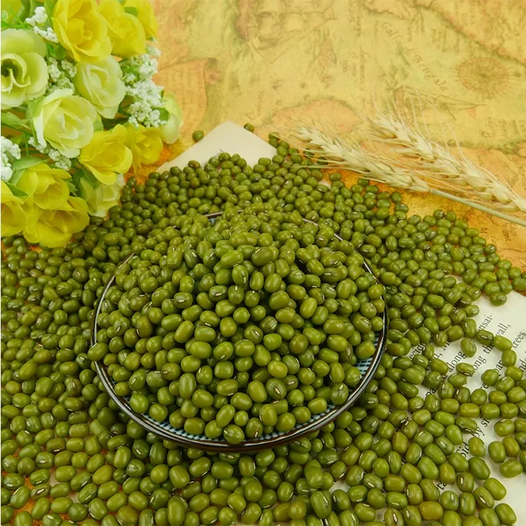 2020 wholesale Green mung beans for sprouting