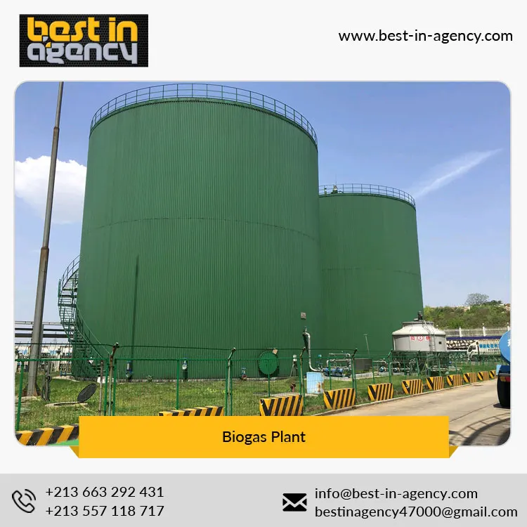 
25000 Cubic Meters Volume Industrial Sewage Biogas Plant Project-Lipp Fermemter 