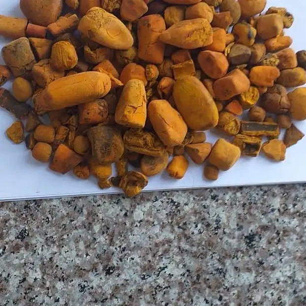 QUALITY COW GALLSTONES
