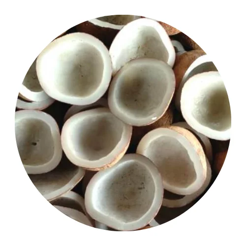 Copra / Dried Coconut Origin Indonesia