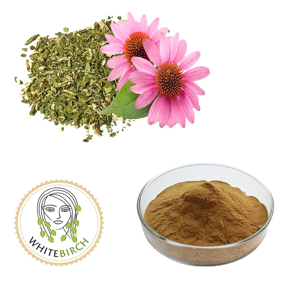 Herbal Extract Echinacea Herb for Food and Beverage
