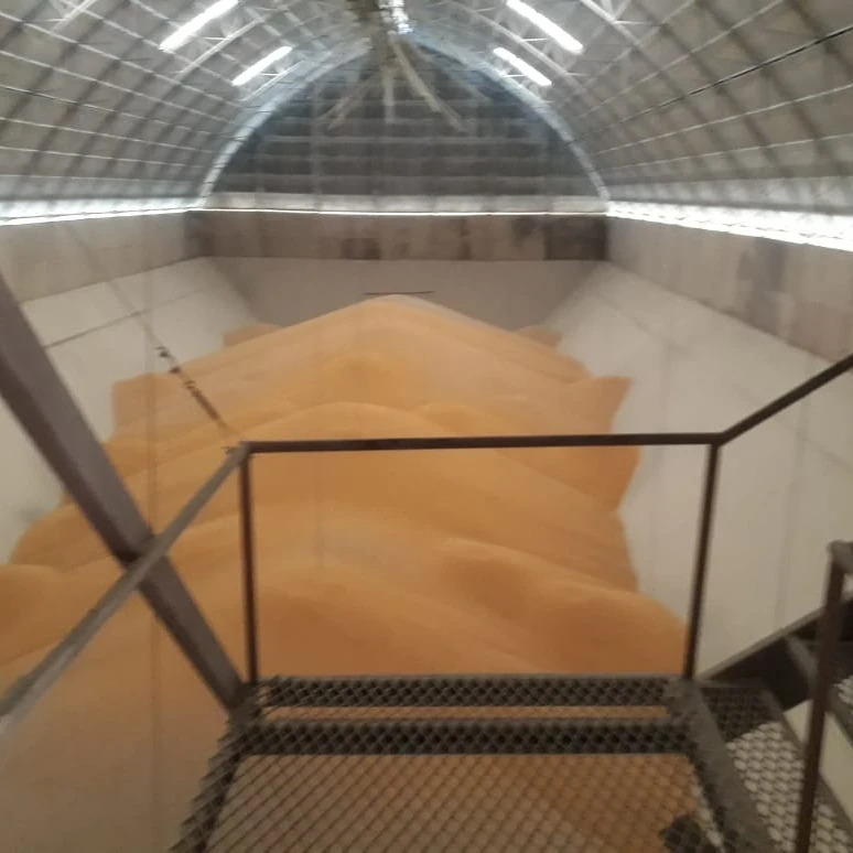 
 Соевые бобы желтого цвета класса 2 с ГМО, минимум 34% белка, подходит для человеческого потребления, происхождение: (Бразилия, Аргентина, США)  