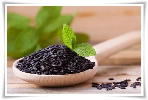  Черный рис с длинным зерном GAO NEP THAN - jasmine Black Rice-Oryza посева (Ms Деми + 84 961 733 400)