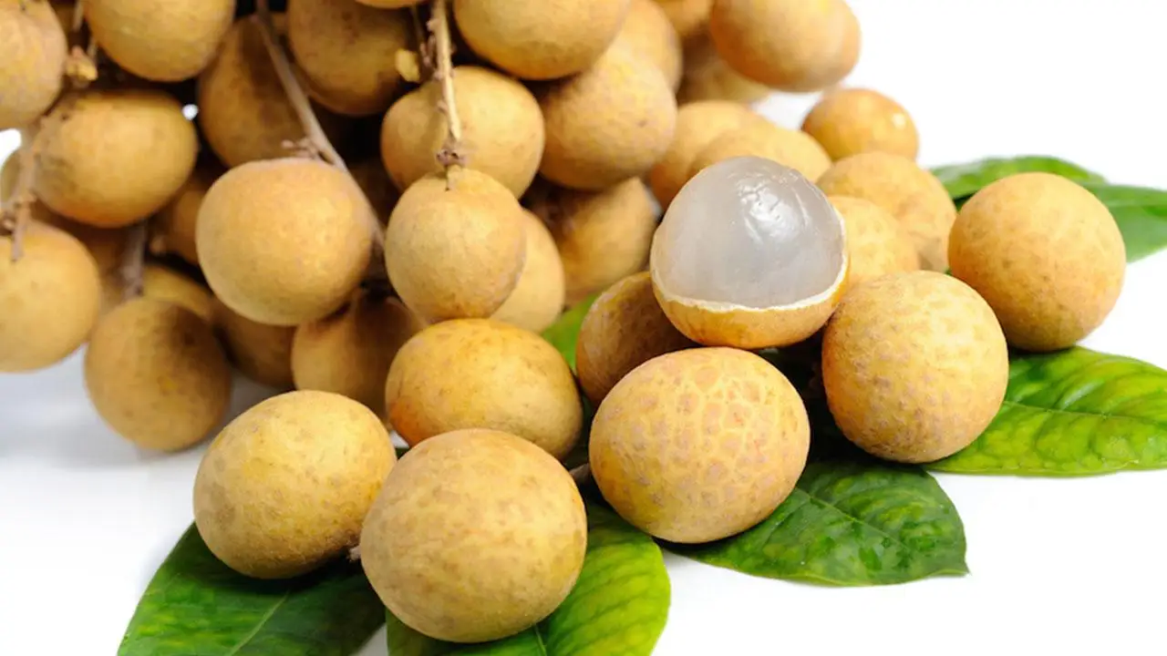  Лидер продаж сушеный Лонган премиум класса из Таиланда от SP Organic International