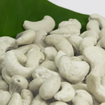BEST PRICE FOR RAW PRODUCT WW240, W320 - BROKEN PIECES CASHEW NUTS WS/LP/SP/BB FROM VIETNAM WITH HIGH QUALITY