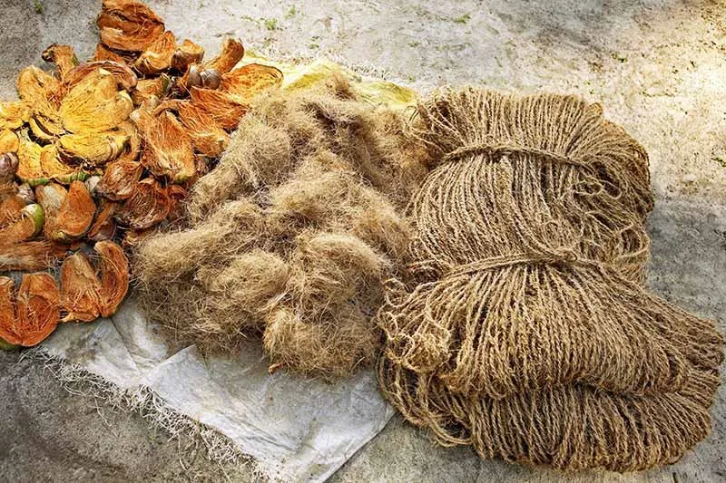 Musa fiber высокое качество низкая цена банановое волокно Вьетнам происхождение Ms праздник + 84 845639639