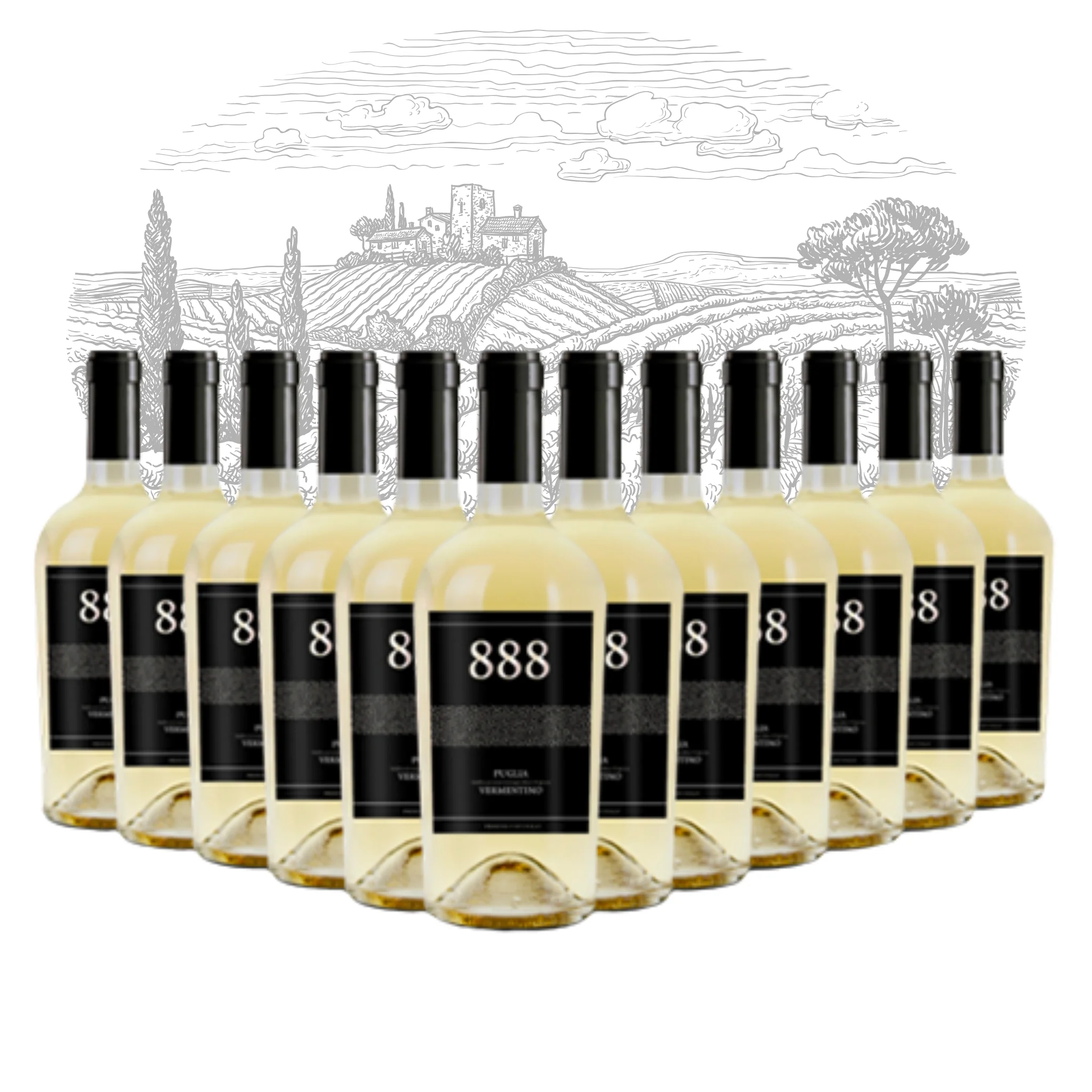 Top Made in Italy White Wine - Vermentino Puglia IGT 888 - White Table Wine bottles 750 ml alcohol 12.5% for export