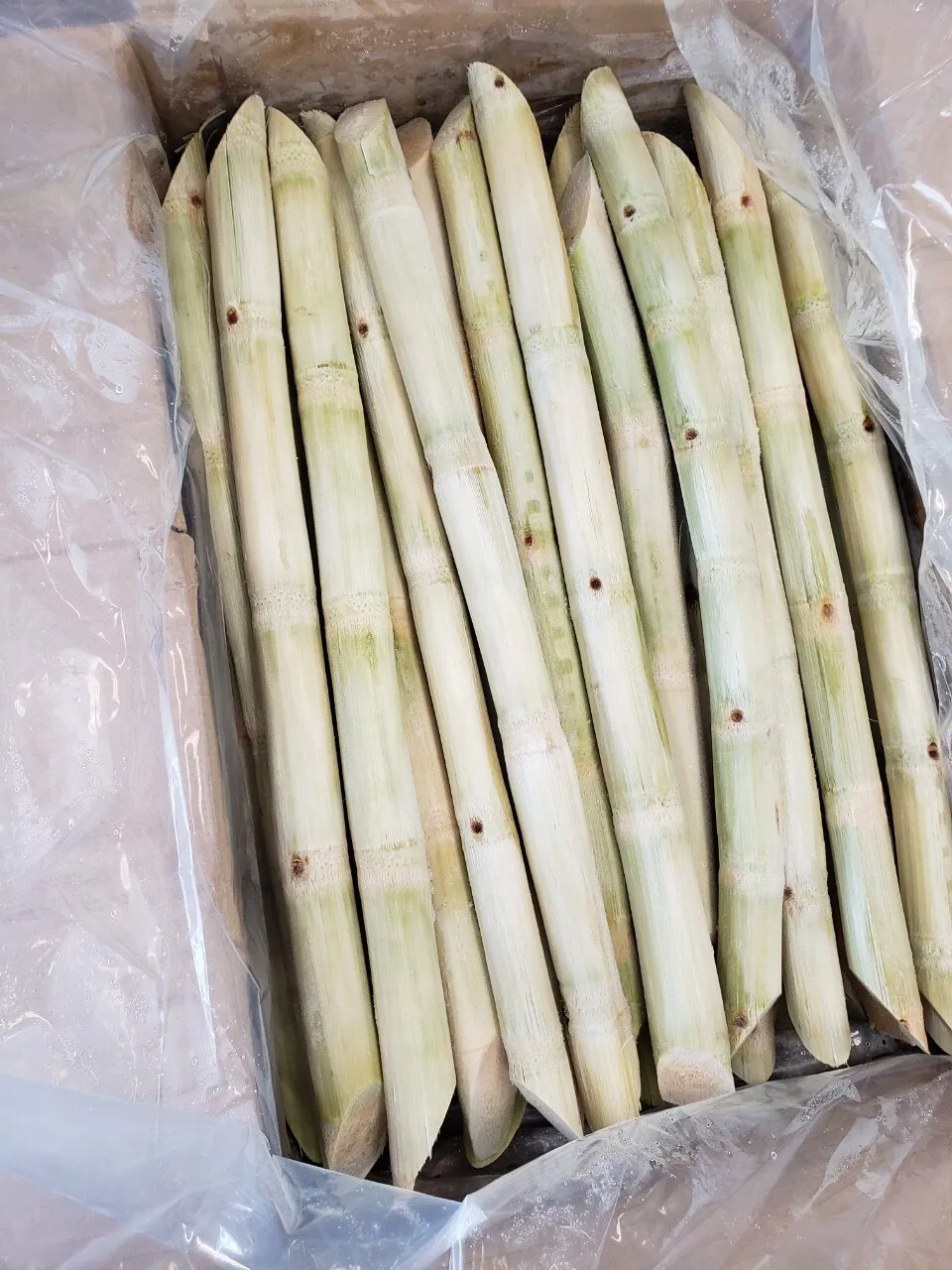 Frozen SUGAR CANE FOR JUICE , contact +84984418844  whatsapp