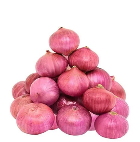 Wholesale High Quality Fresh Fresh Red Onion for Wholesale from India