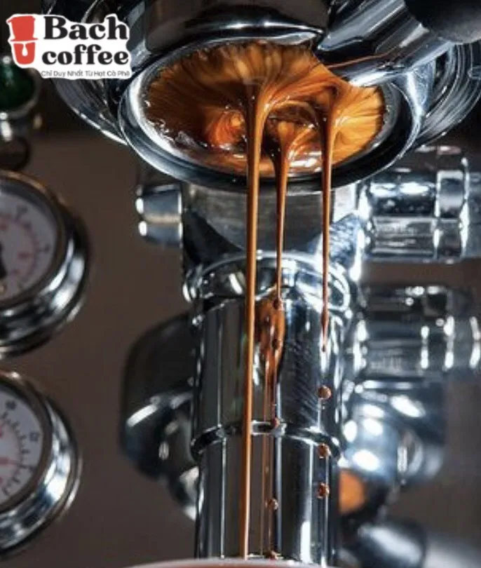 
Arabica Roasted Coffee Grade 1/ Light Roast - Whole Bean - Organic Arabica Coffee Fair Trade Certified -Gluten Free/ Wholesale 