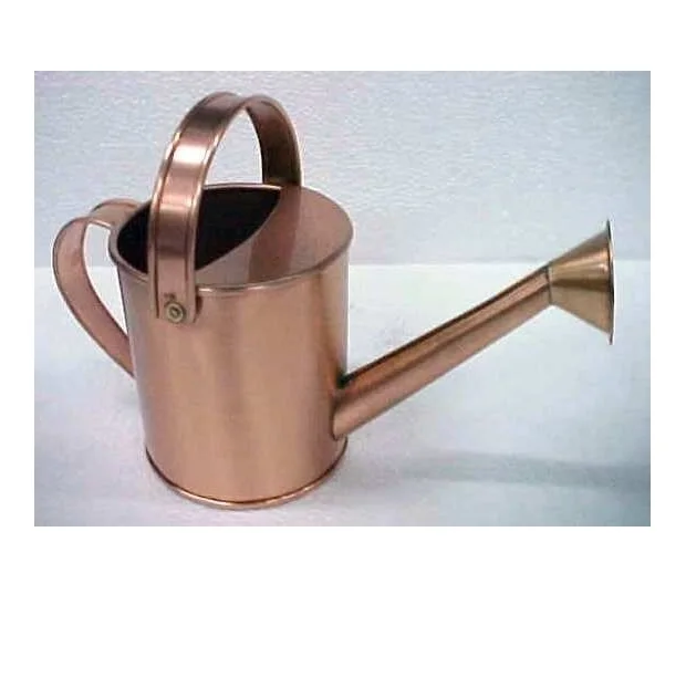 Metal Watering Can with Removable Spout Perfect Galvanized Watering Can for Indoor and Outdoor Plants  Flower  Watering