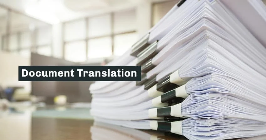 Document translation service of German English French inspection agent highest quality at best wholesale price in India