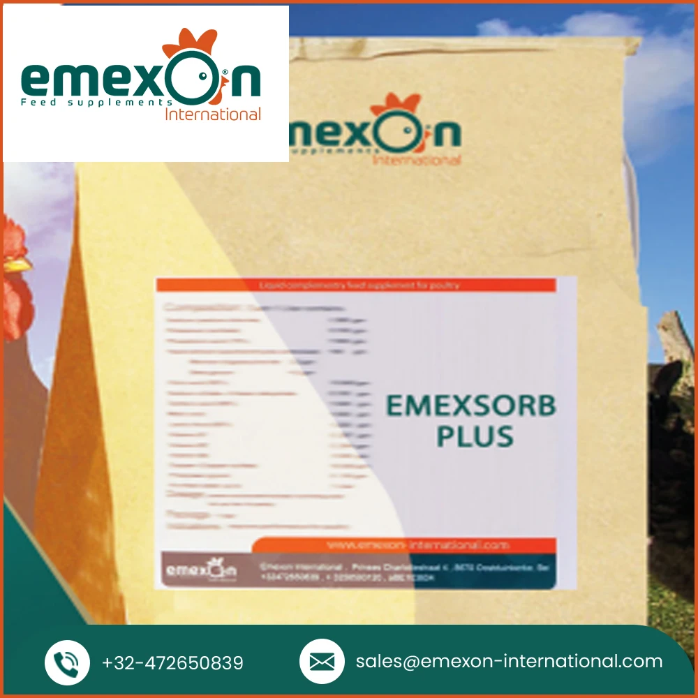 Toxin Binder Supplement Toxin Binder Emexsorb Plus Powder Additives for Animal Treatment and Health Care