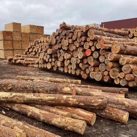 
fresh cut european Grade spruce logs for sale 
