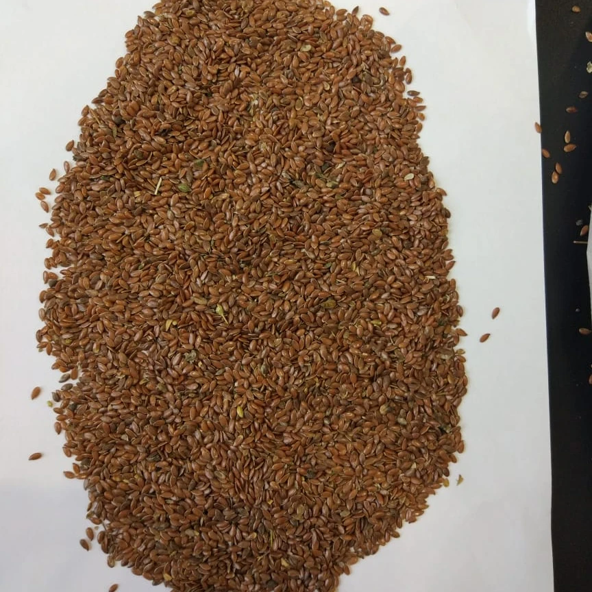 
top quality flaxseed for sale 