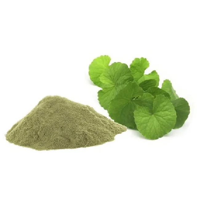 Whole Spice Organic Bacopa Monnieri (Brahmi) Powder Raw Processing Brown Dried Style Products Natural Spices Herbs