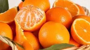 Pure Organic good quality fresh fruit mandarin orange fresh citrus fruit Fresh Mandarin Orange  tangerine