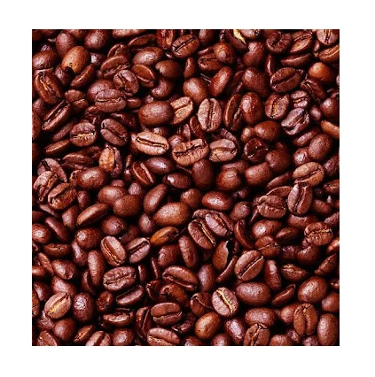 Wholesale Robusta Coffee Bean High quality Pure Roast Coffee Beans Importers Best Price Made From Vietnam