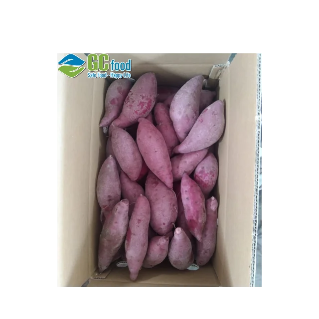 (GC Food) свежий картофель-100% зрелый Урожай-LC/TT по лучшей цене для оптовой продажи