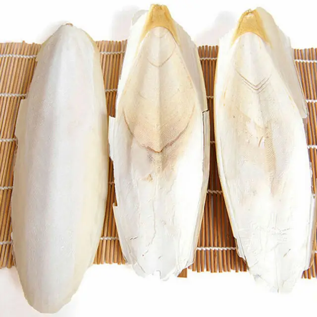 
Best Cuttlebone Cuttlefish Sepia Bone Cuttle Fish Bird Food From Vietnam 