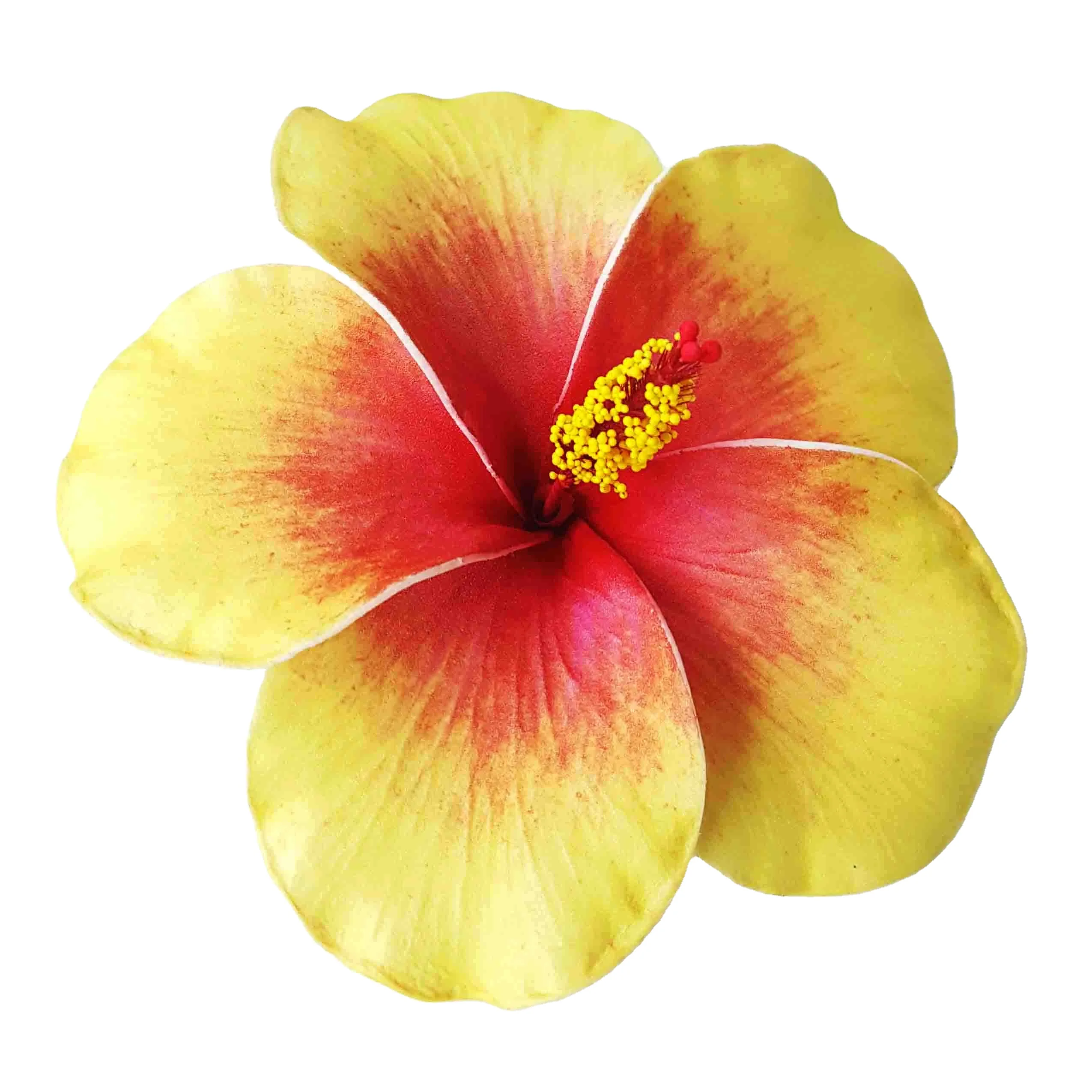 Best seller good quality Handcraft Handmade artificial hibiscus foam flower with special tattoo and color pattern