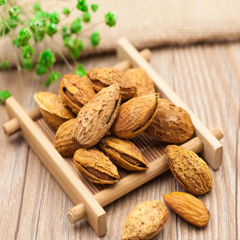 Apricot Kernels for sale  Organic Apricot Seed