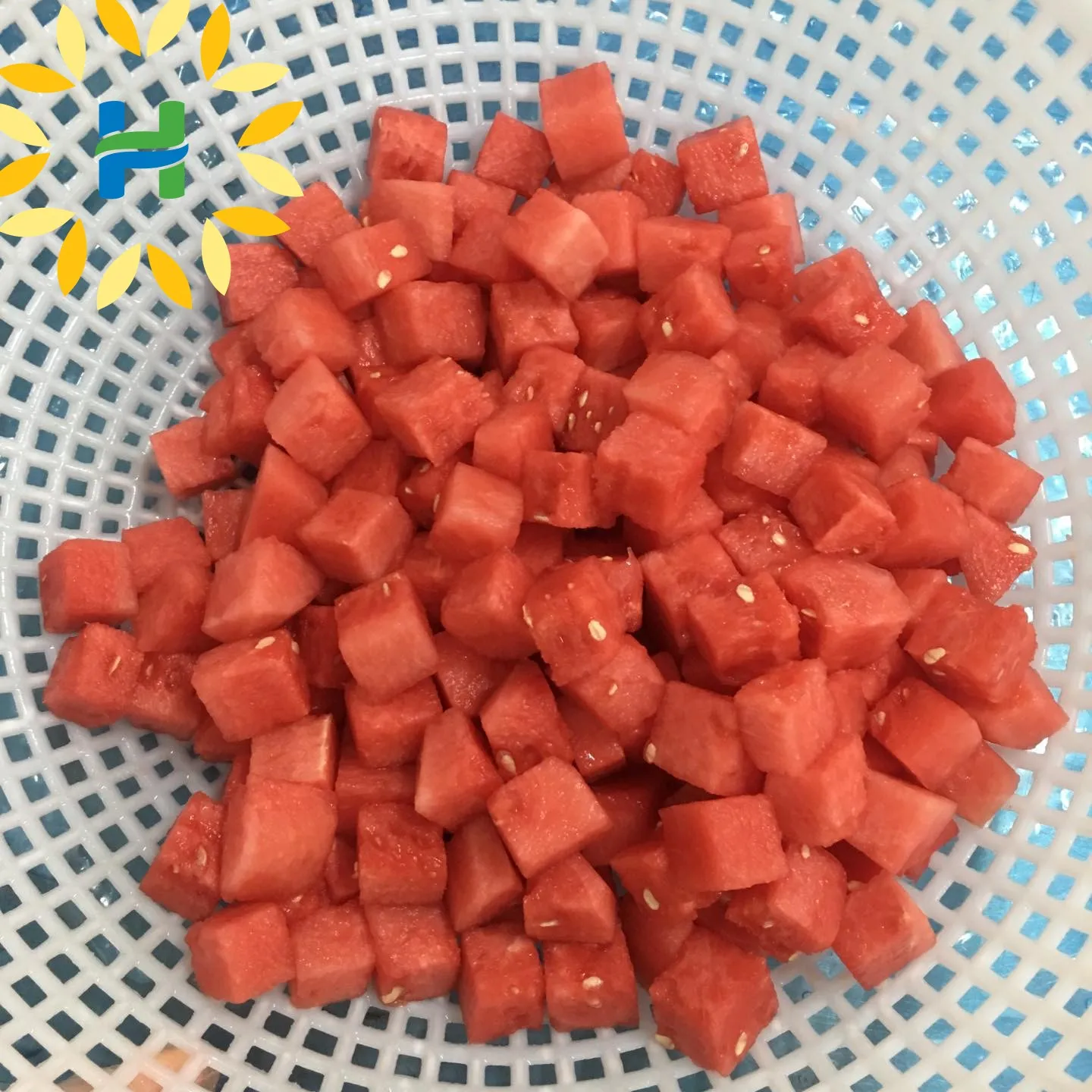 IQF WATER MELON