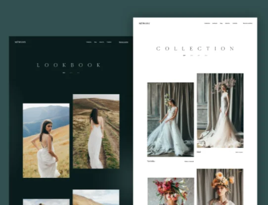 Website Designing  and Development for Gyms | Web Development And Designing | Services Website designer