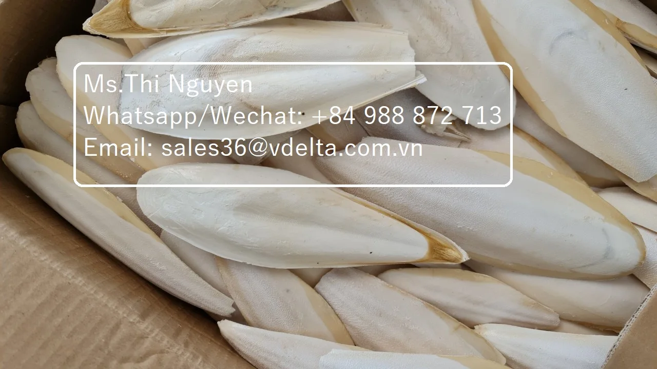 Лучшее качество сушеные кости для морской слепки-корм животных-котелки из Вьетнама/Ms.Thi Нгуен + 84 988 872 713