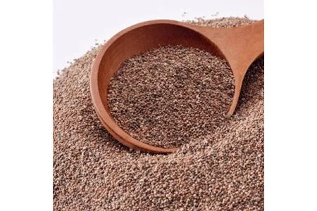 Kaniwa Grains, Canuhua seeds in bulk and premium quality Peru