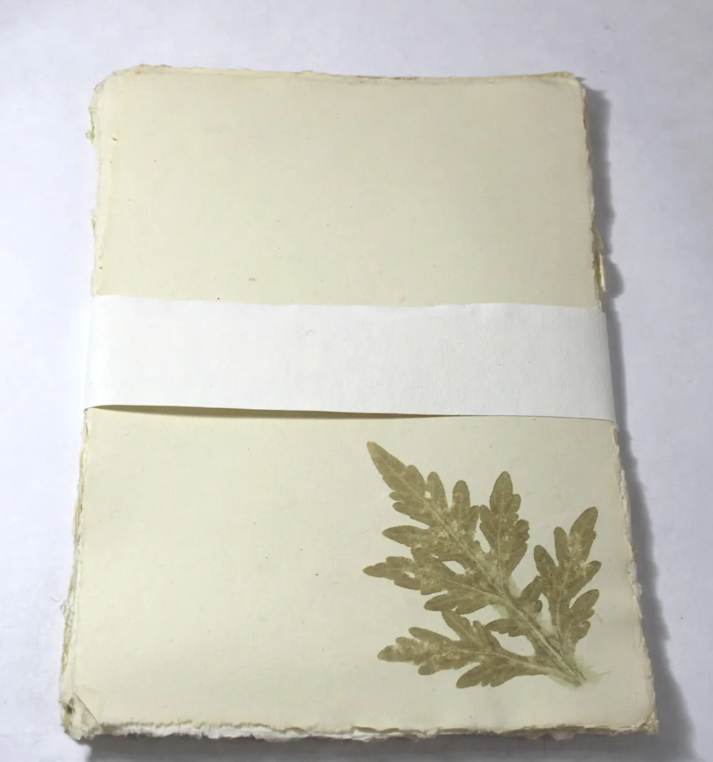 Recycled Handmade Cotton Paper Absolutely Wood / Acid Free Deckle Edged (Natural Edged) A4 Letter Heads Stationery Set