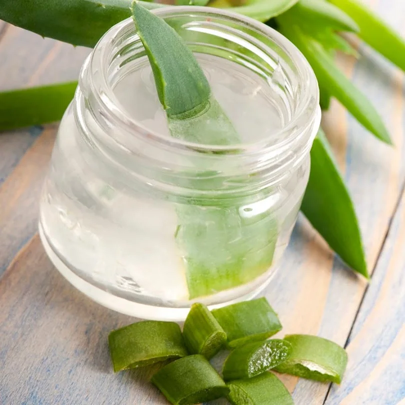 
Aloe Vera Syrup Produced With Pasteuried Technology And No Preservatives Aloe Vera Syrup From Vietnam 