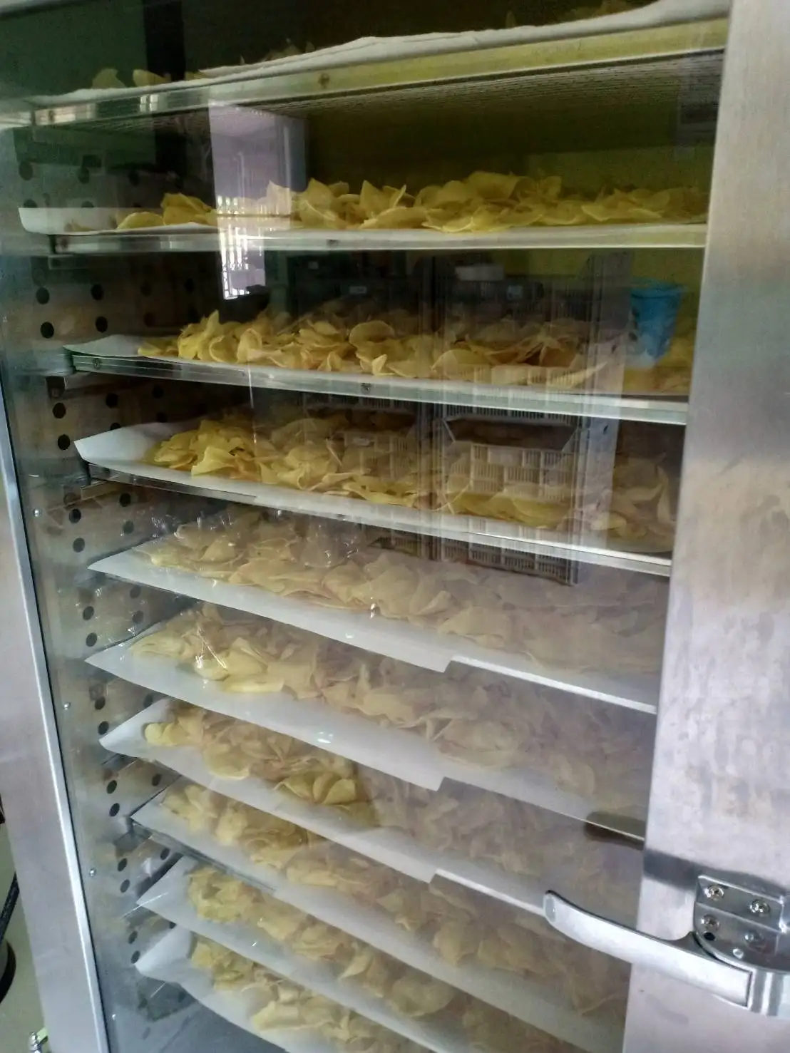 Crispy Fried Monthong Durian Chips Original Taste From Thailand