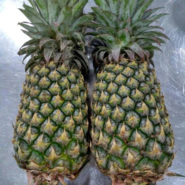 BULK FROZEN FRESH ORGANIC PINEAPPLES FOR