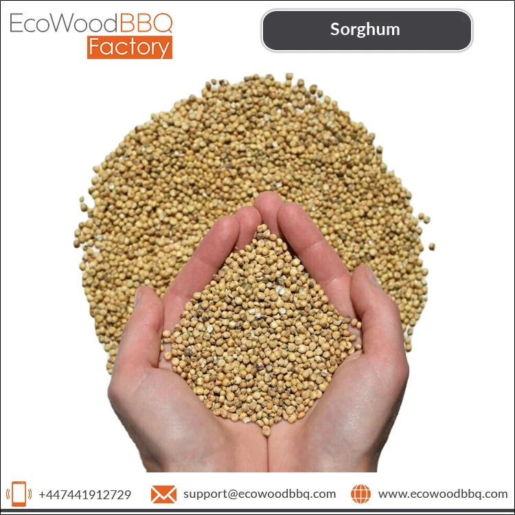 Direct Factory Price 100% Pure Natural Organic Bird Feed Sorghum Grains Kernel Seeds