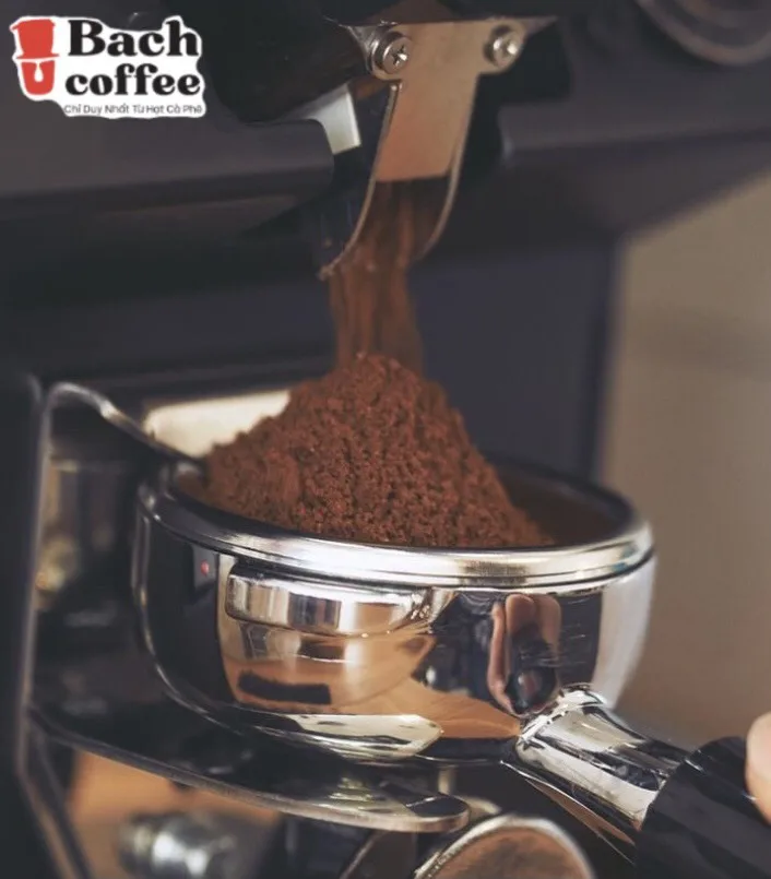 Roasted Coffee Beans Arabica/ The Best Espresso Beans from Viet Nam Super Healthy Arabica for Peak Performance/ wholesale retail