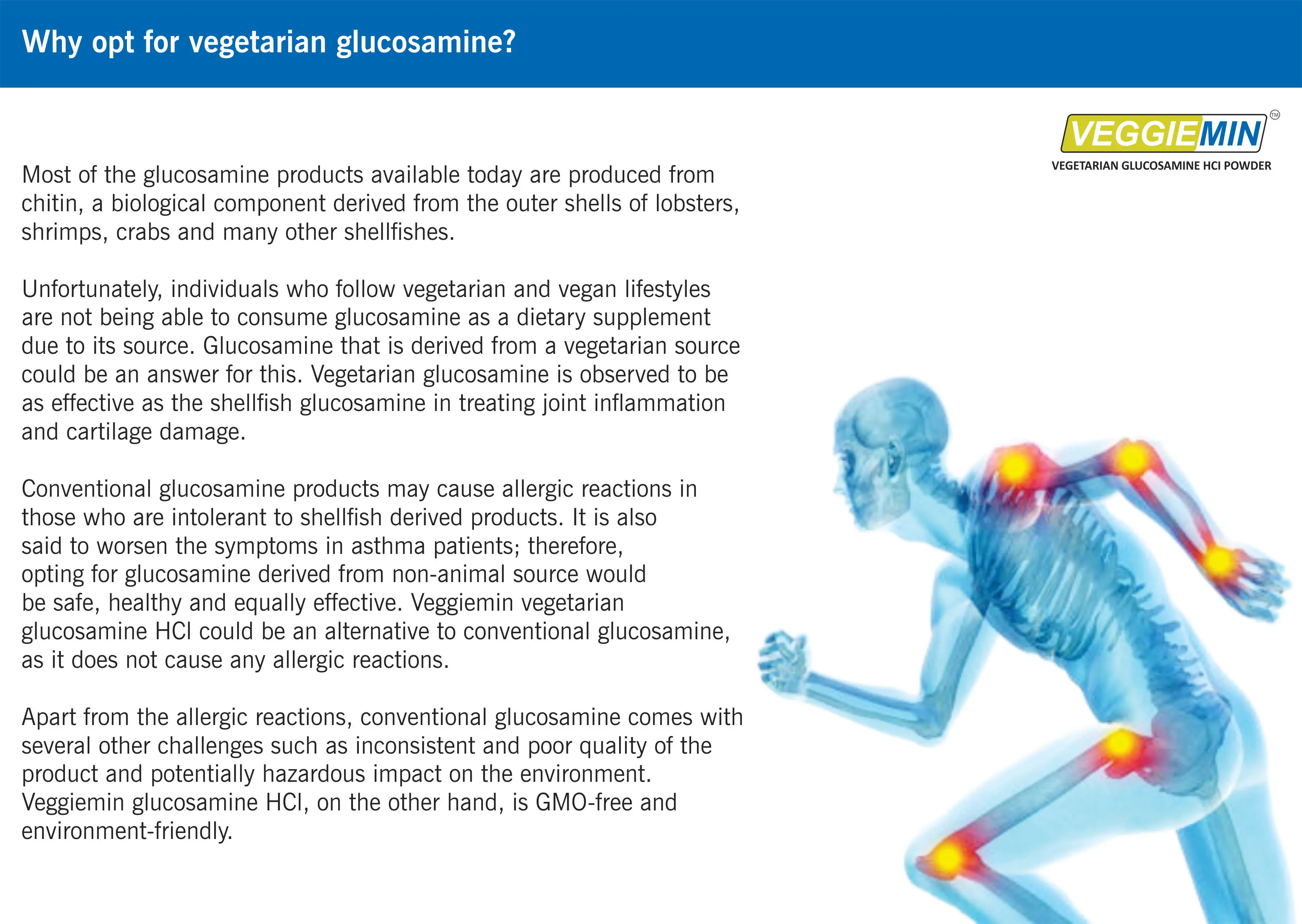 
ISO and GMP Certified 100% Vegetarian Glucosamine Hydrochloride Powder Available for Bulk Buyers 