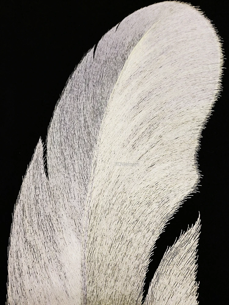 Feather Paintings Place Of The Paradise Still Life Hand Embroidery Artworks in Mordern Style