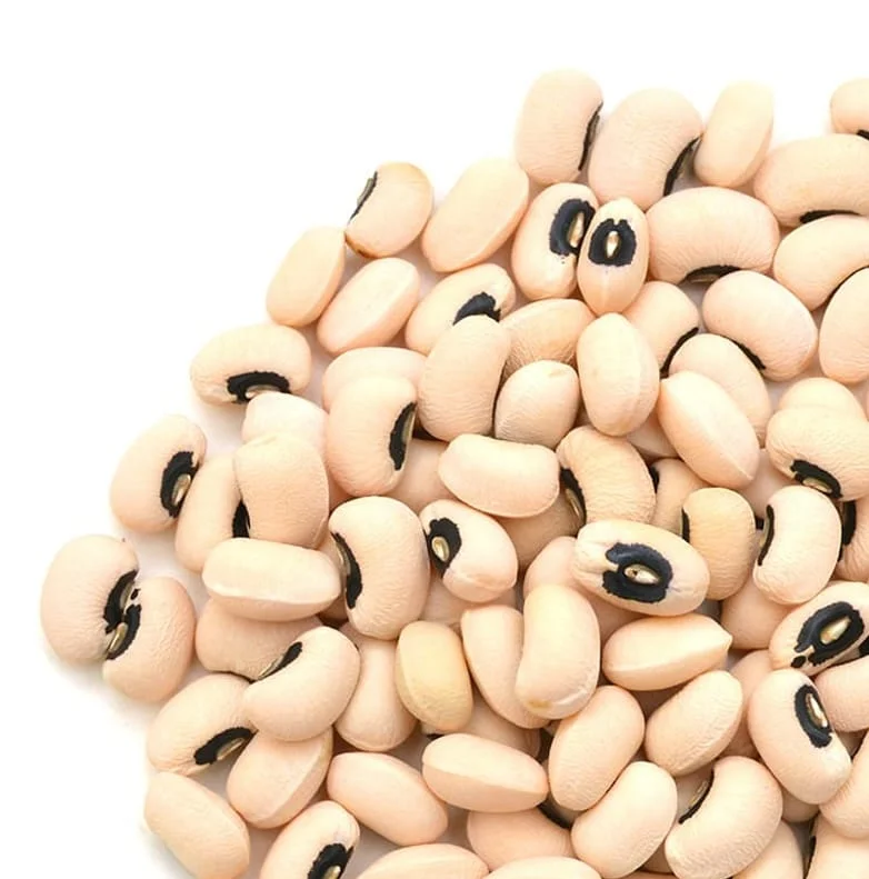 Wholesale Dried Dark Red Kidney Beans long shape Kidney Beans