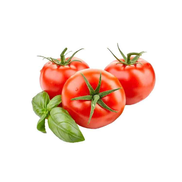 
resh Beef Tomato, Cherry Tomato, Fresh Plum Tomatoes for Sale 