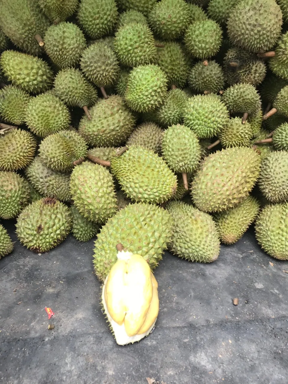 
Durian from Vietnam 