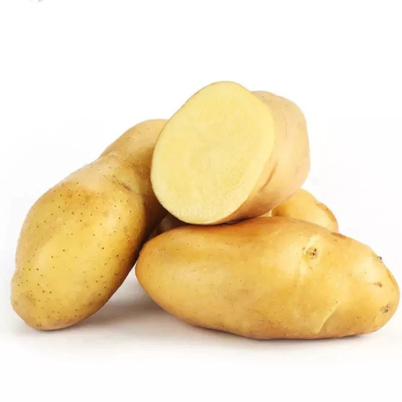 Common Fresh Potatoes For Sale Cheap Price Irish Potatoes