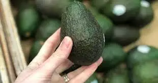Свежий