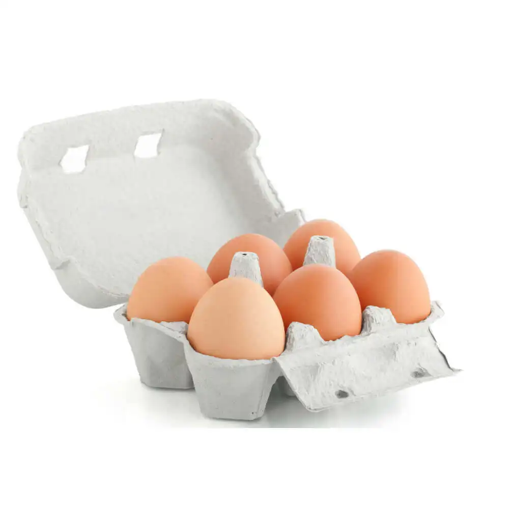 White Fresh Chicken Table Eggs/ Artificial Ostrich Eggs For Sale